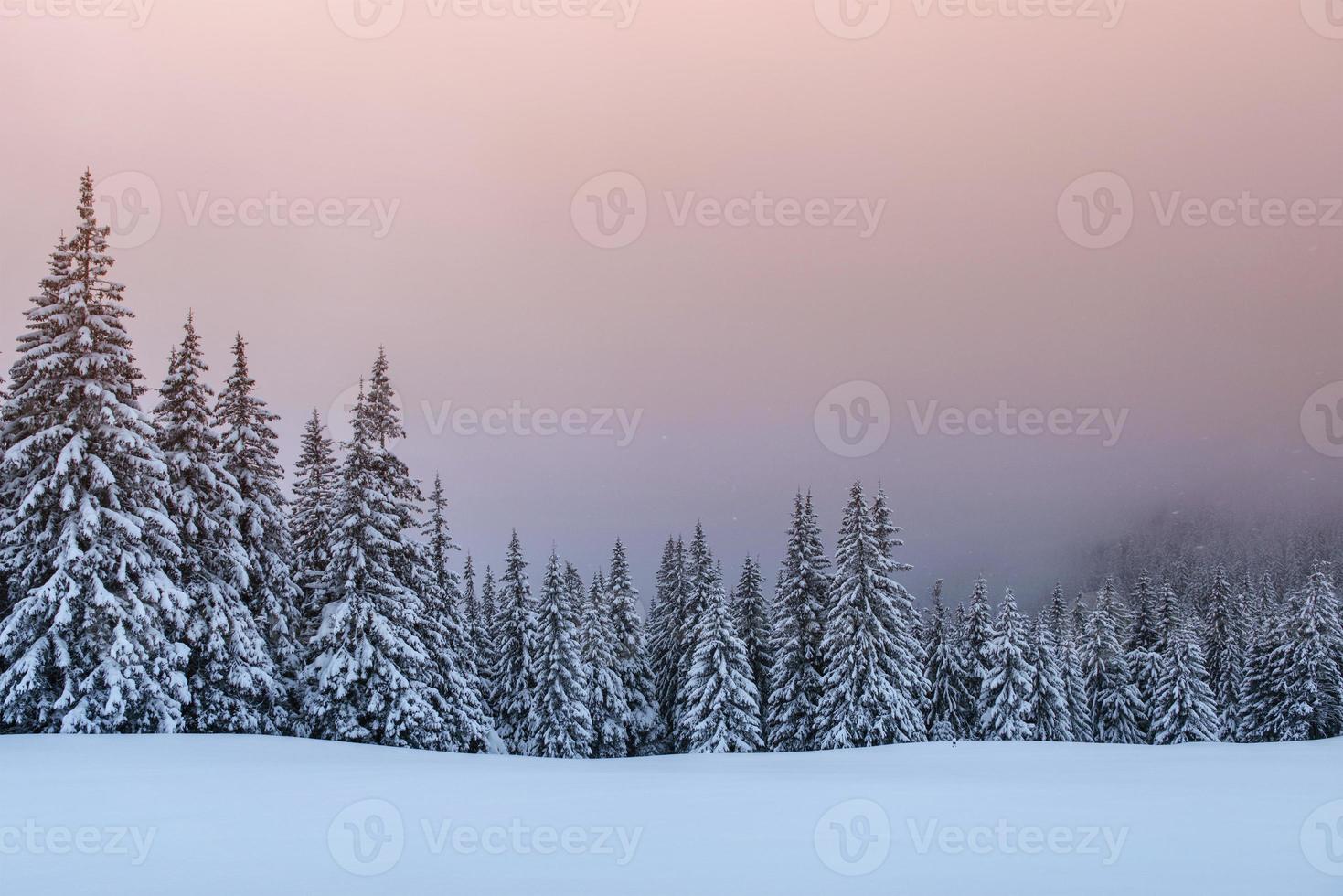 misterioso paesaggio invernale, maestose montagne con alberi innevati. biglietto di auguri con foto. carpazi ucraina europa foto