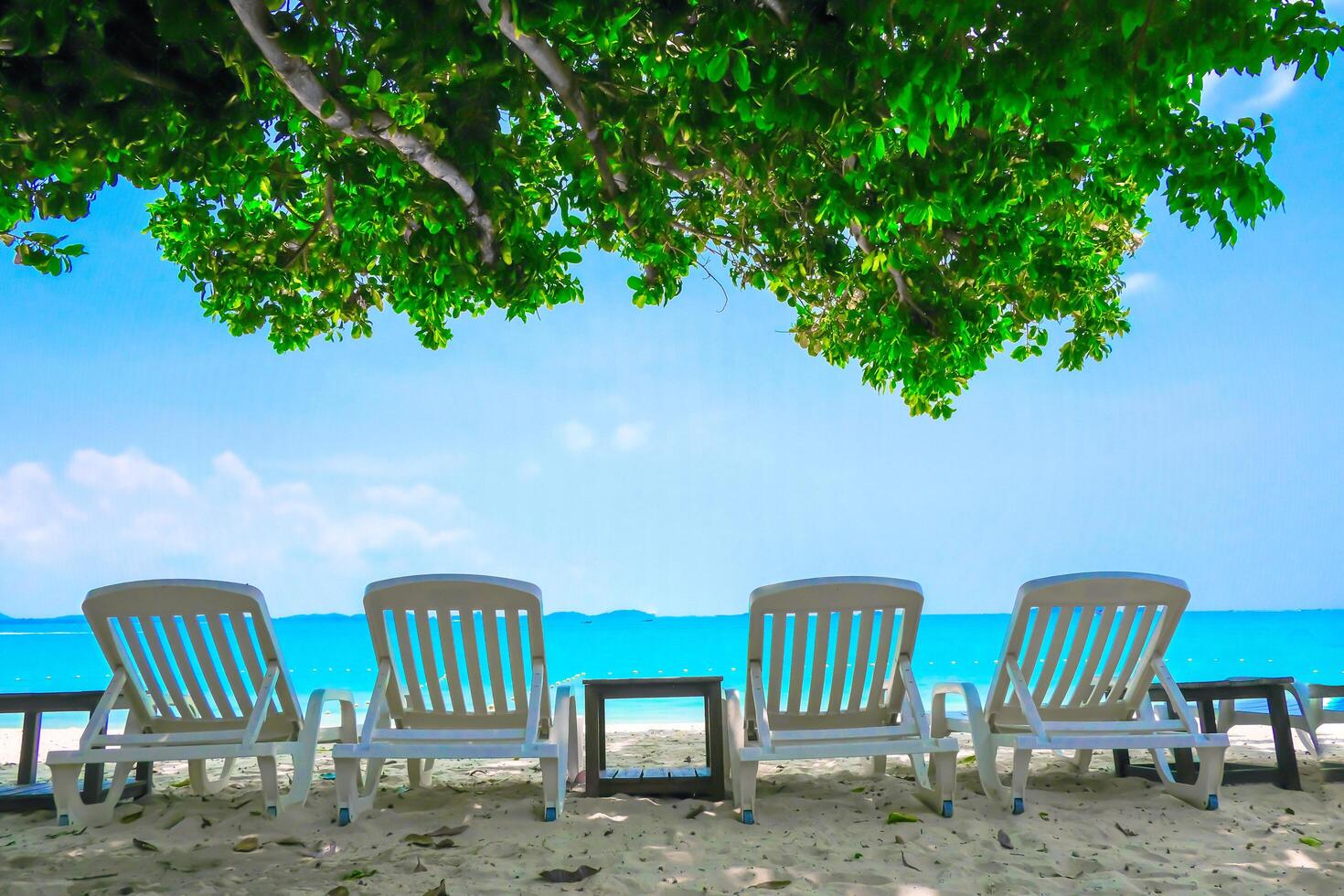 fila di sedie con albero su una bellissima spiaggia tropicale relax in vacanza foto