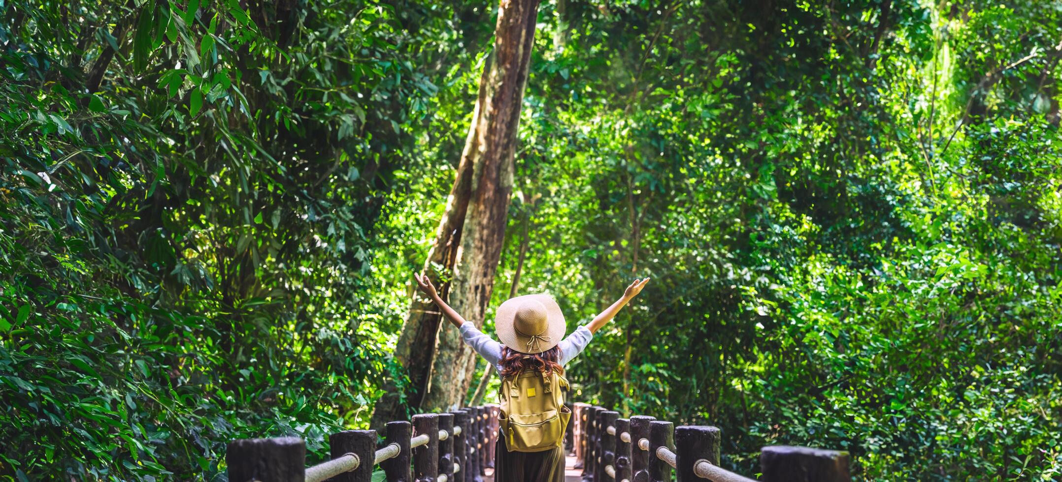 il ragazza è contento per viaggio per il mangrovia foresta. lei è a piedi su il ponte e raccolta sua mano. natura sentiero, di bok thorni cascata. relax, viaggiare, zaino, natura, turismo, rurale, stile. foto