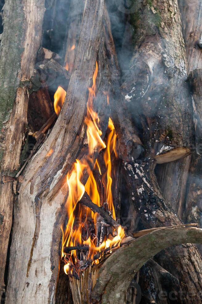 bellissimo fuoco fiamme su un' fuoco di bivacco foto