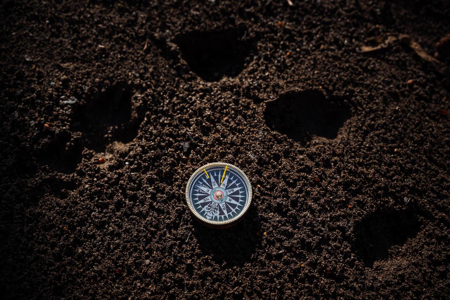 il bussola bugie su il terra, il punto di riferimento per il nord, il magnetico ago di il bussola Spettacoli per il est, il indicazioni di il mondo, il tracce di animali. foto