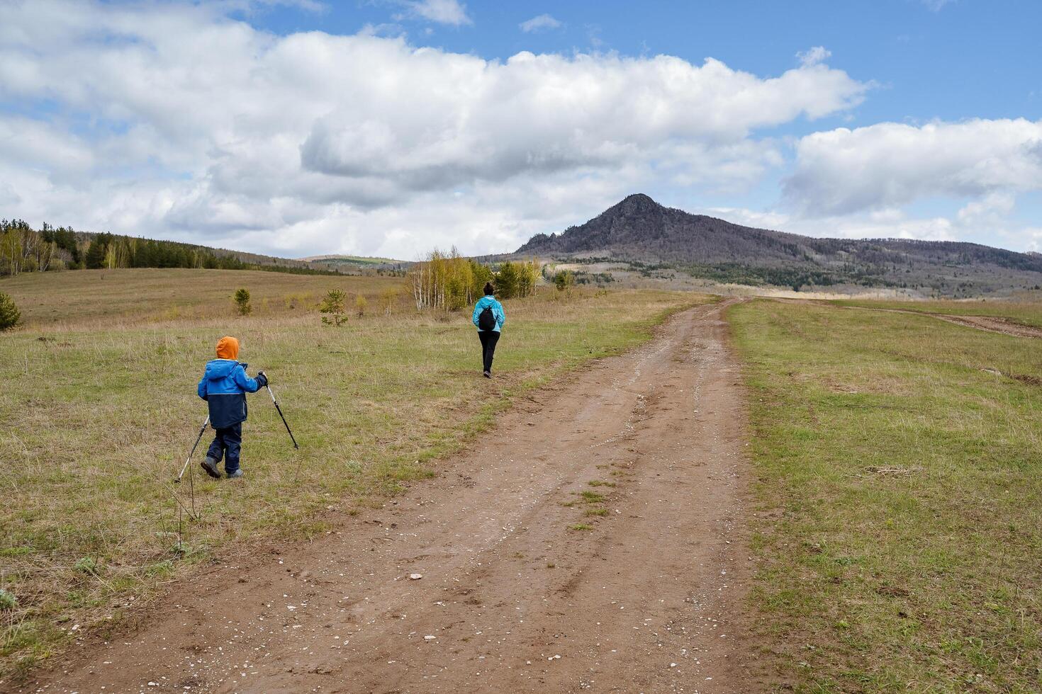 famiglia vacanze nel natura, escursioni a piedi con un' bambino al di fuori il città, turista itinerario per figli, estate vacanze nel natura, un' ragazzo passeggiate con bastoni nel il suo mani foto