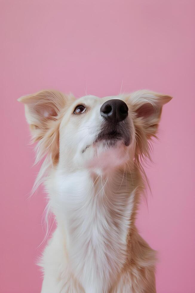 ai generato curioso cane ribaltamento testa foto