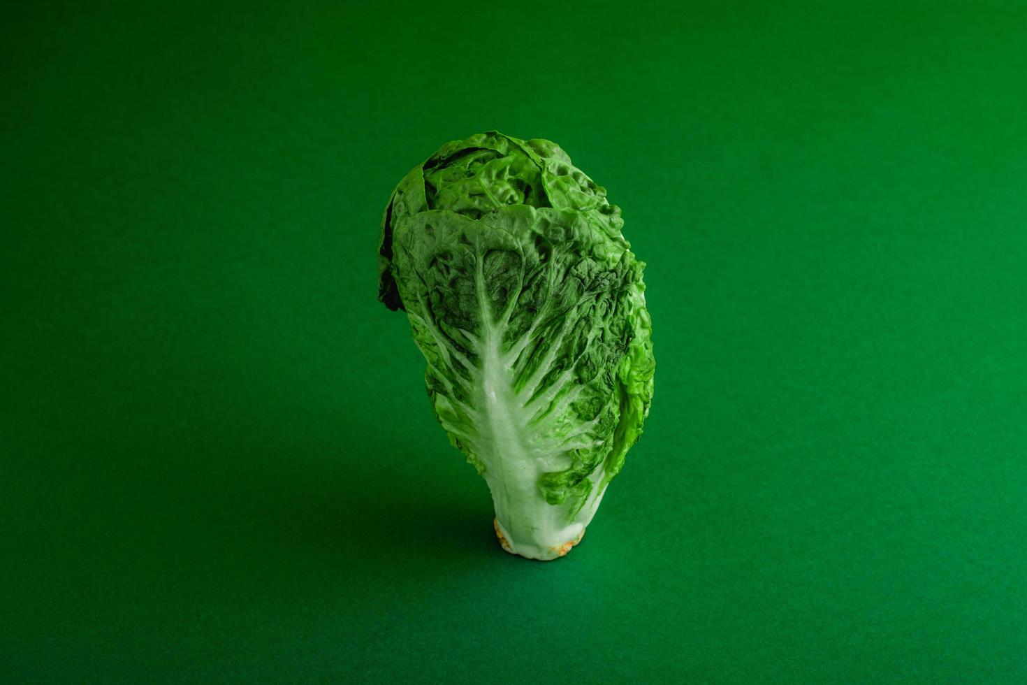 lattuga romana fresca e matura su sfondo di colore verde foto