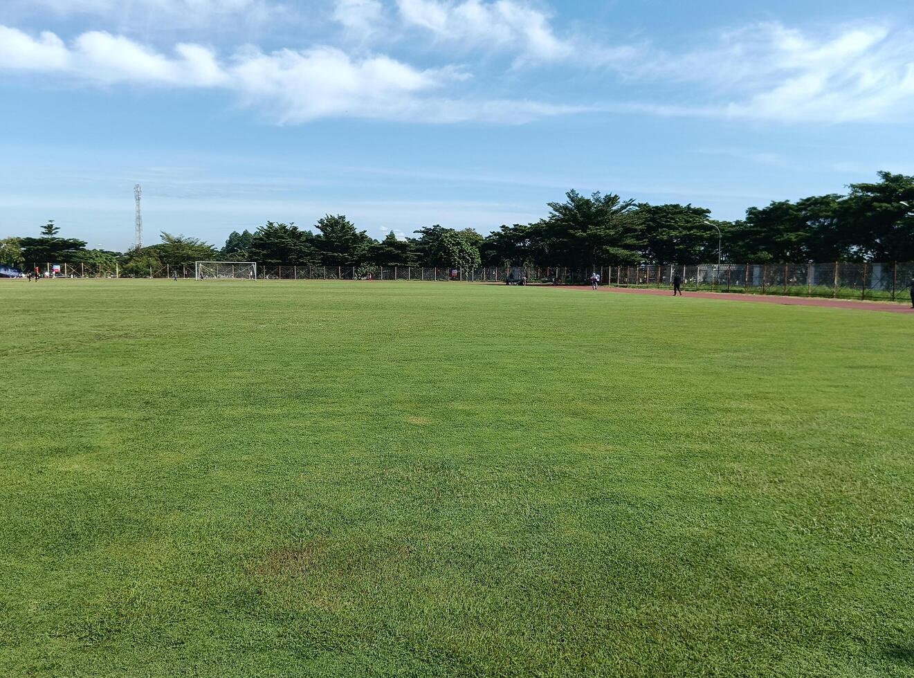 mattina la tranquillità, un' prospettiva su il calcio campo foto