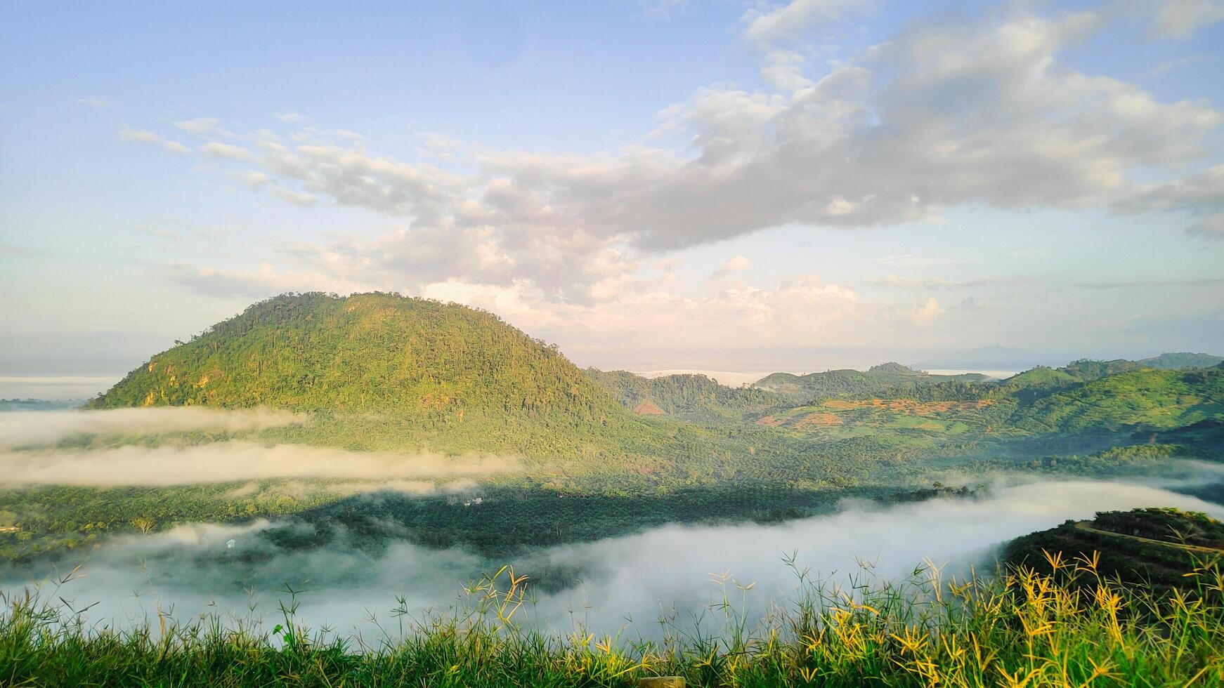 naturale Visualizza di montagne coperto con rugiada montare boga collocato nel est kalimantan foto