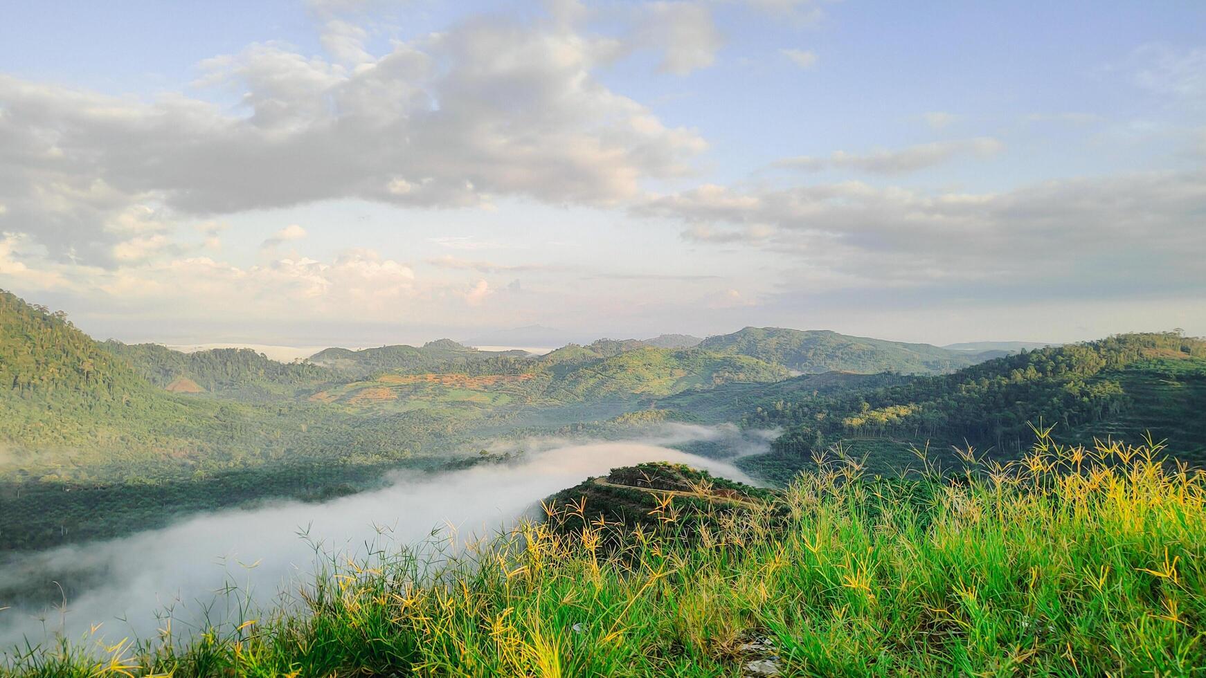 naturale Visualizza di montagne coperto con rugiada montare boga collocato nel est kalimantan foto