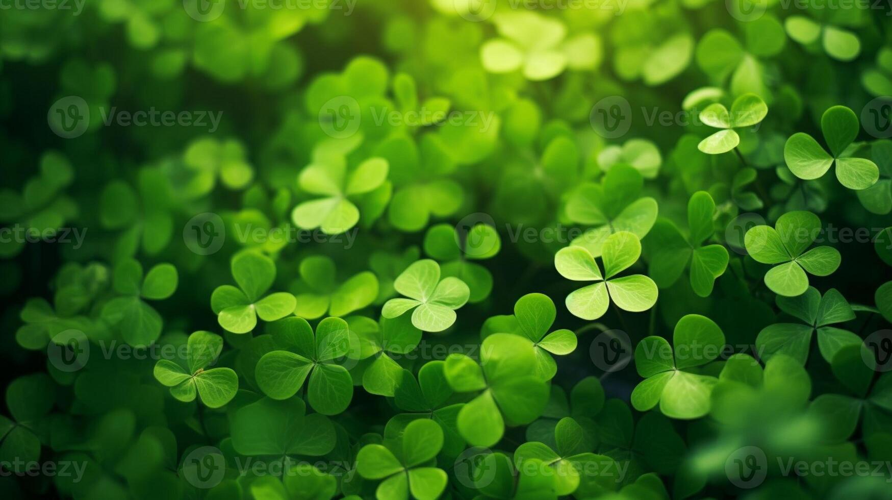 ai generato fortunato trifoglio le foglie per st. Patrick giorno. bandiera con irlandesi trifoglio le foglie foto