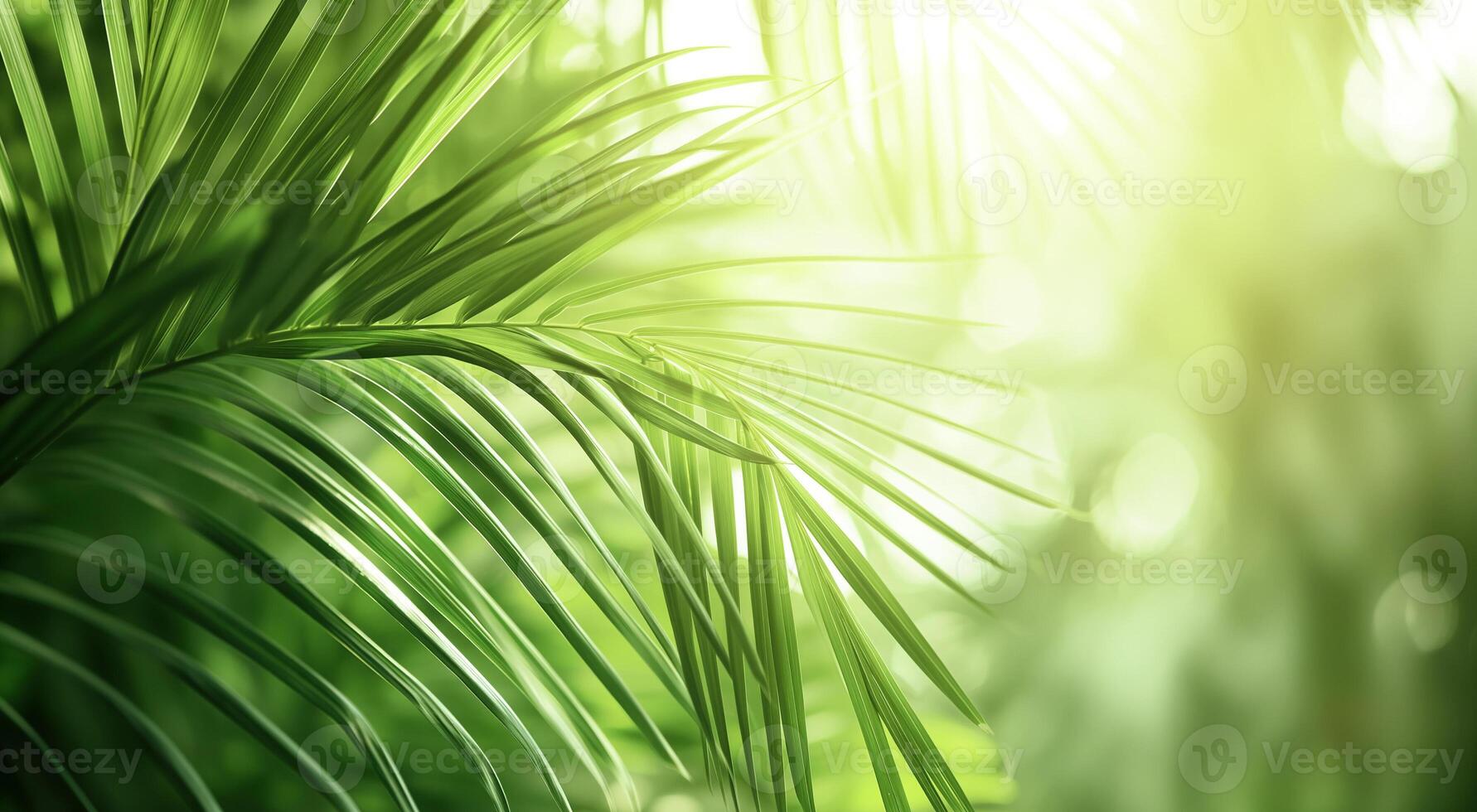ai generato lussureggiante verde palma le foglie crogiolarsi nel morbido luce del sole, raffigurante un' tranquillo naturale ambientazione foto