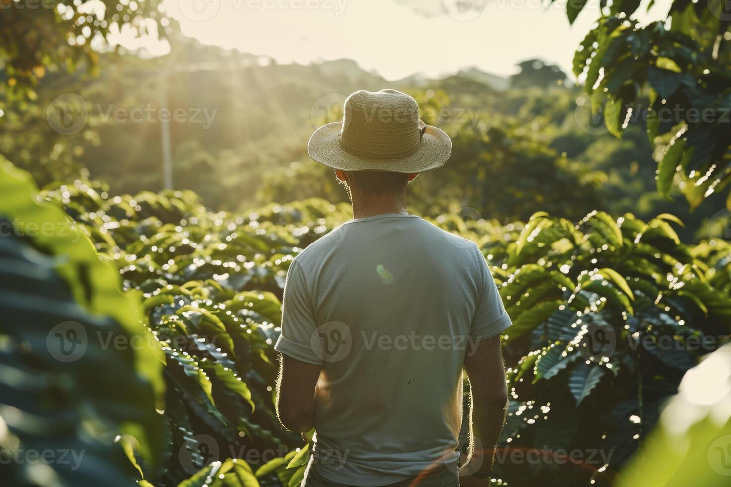 ai generato uomo tra il impianti su un' cacao piantagione. generativo ai foto