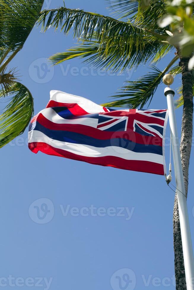 bandiera dello stato delle hawaii in pole con palme foto