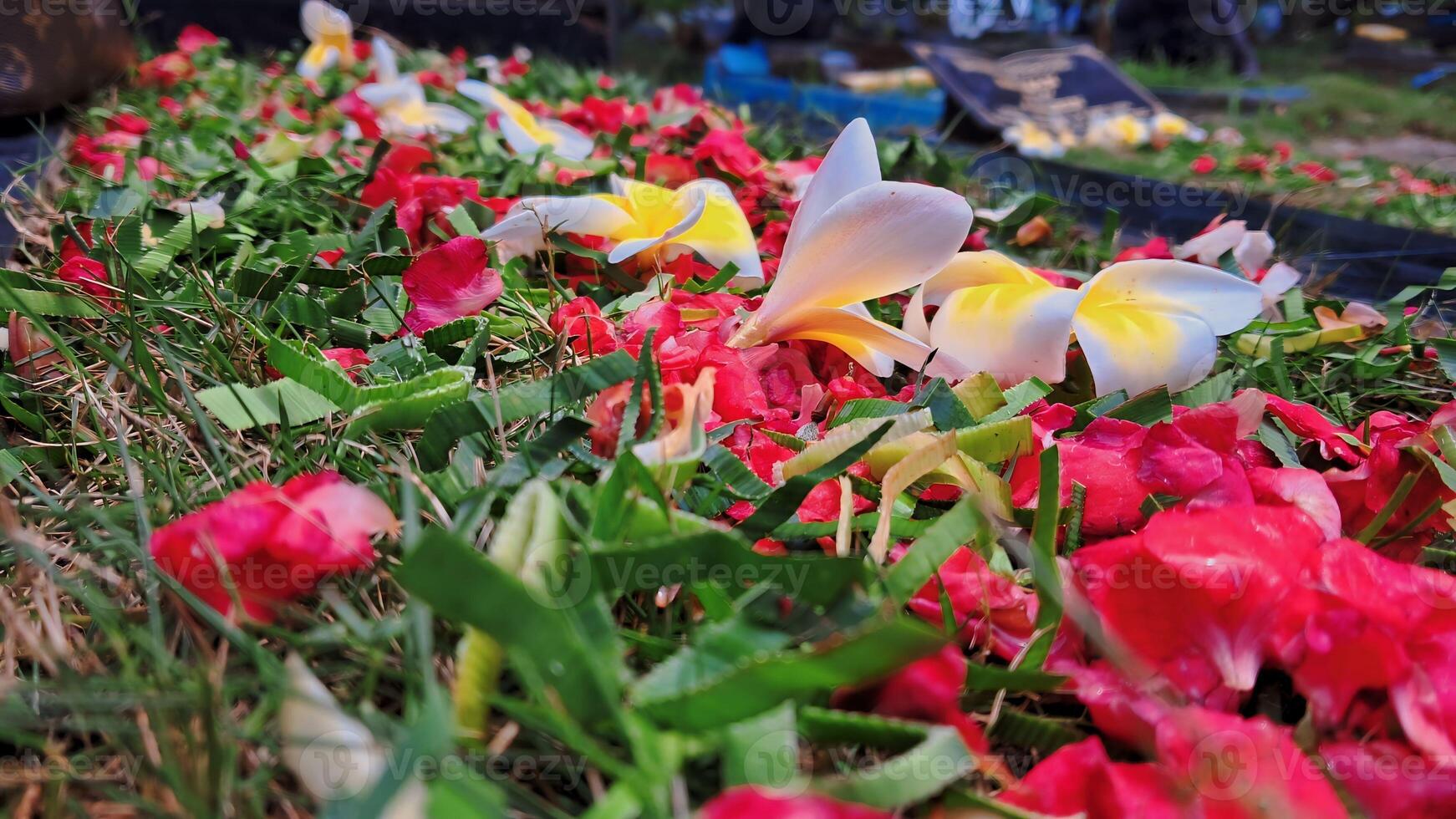 fioritura fiori sparpagliato su il terra foto