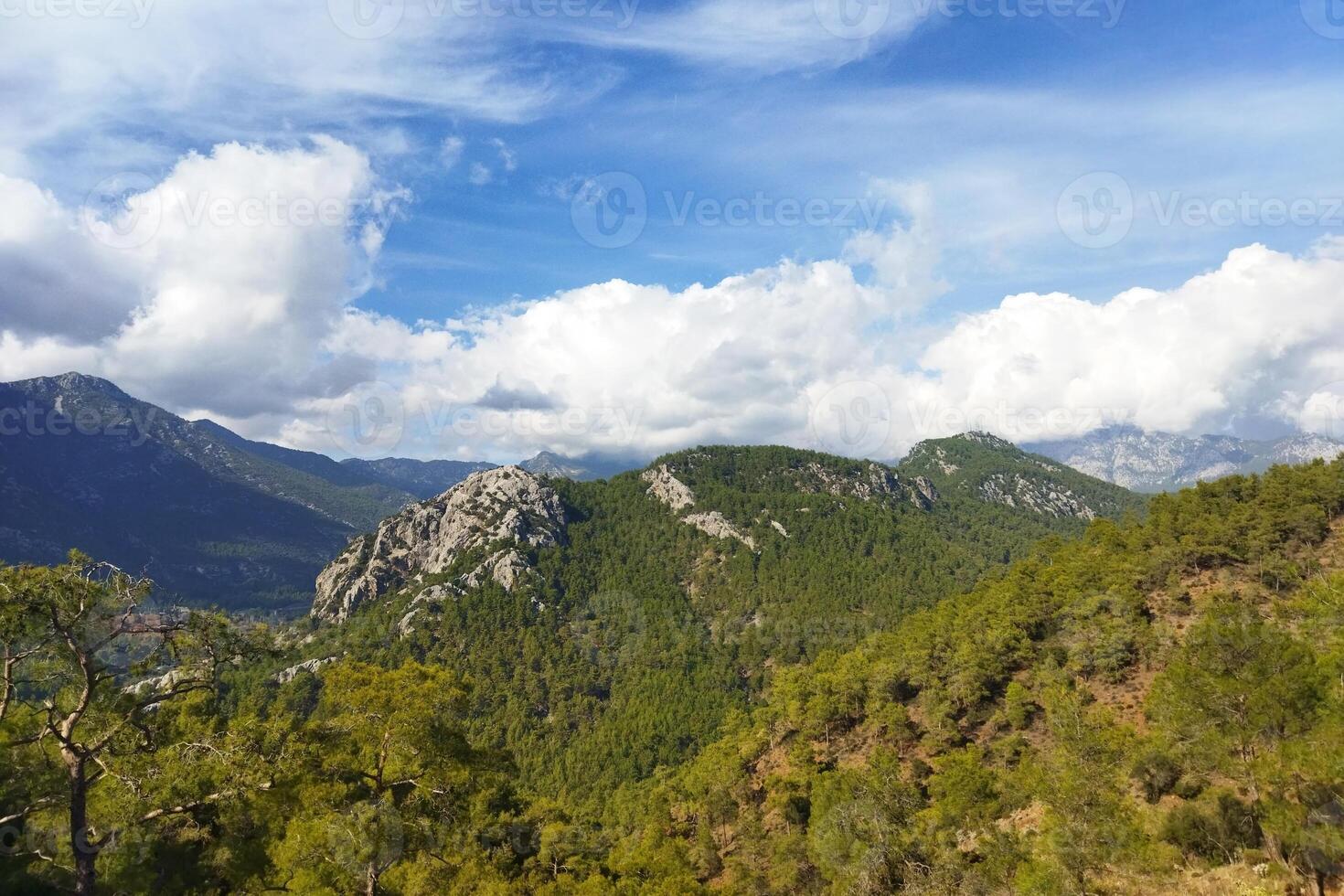 panoramico Visualizza di il montagna coperto con verde alberi e impianti con blu cieli nel il sfondo foto