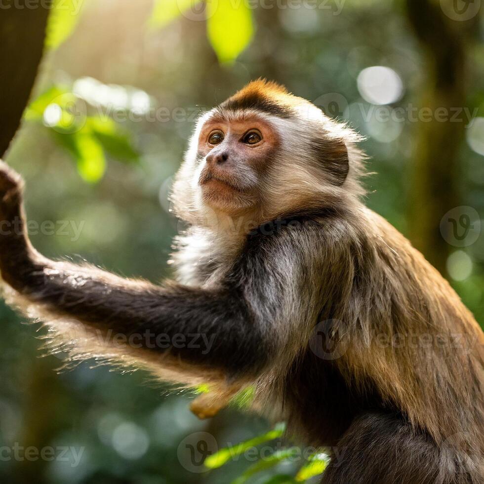 ai generato scimmia mangiare un' Noce di cocco foto