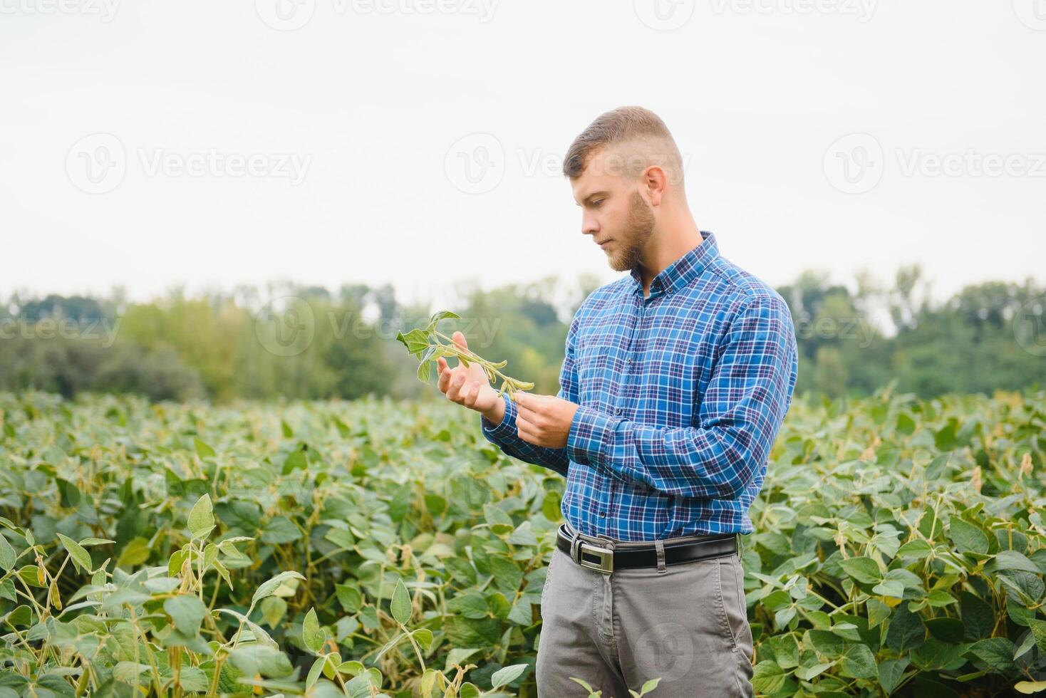 giovane agricoltore nei campi di soia foto