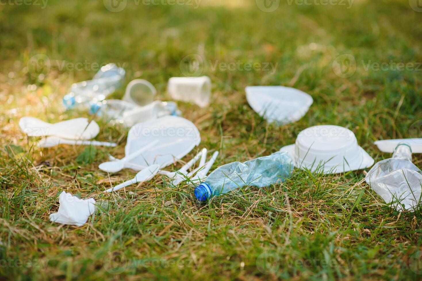 spazzatura mucchio su il campagna parco foresta bordo su verde alberi sfondo su un' soleggiato primavera giorno, plastica littering il natura con vacanzieri persone nel Europa foto