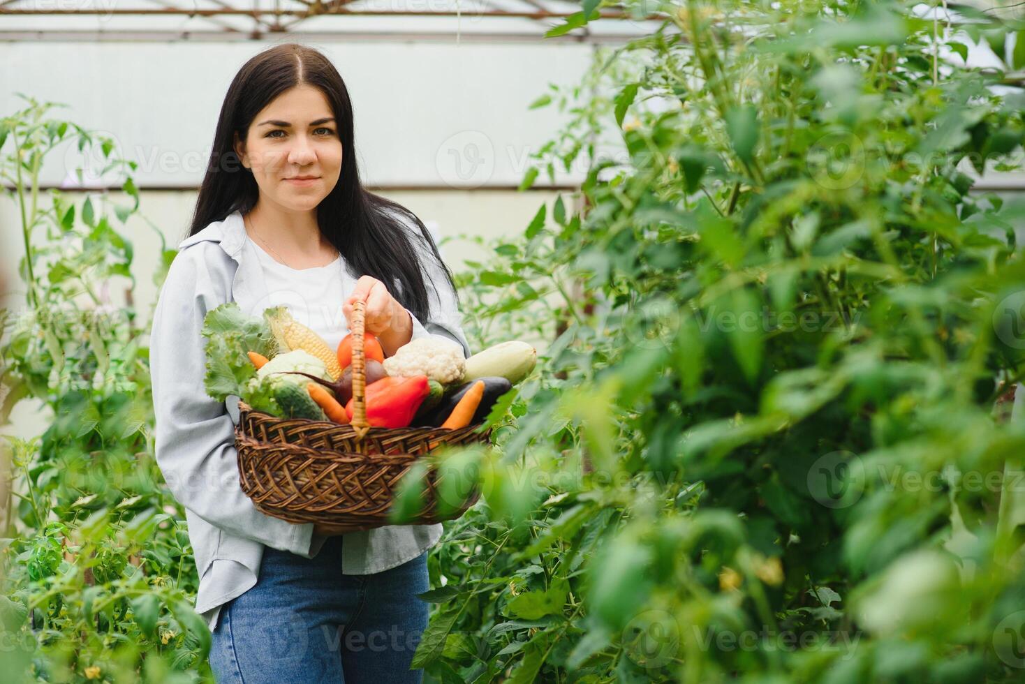 giovane donna nel prende cura di fresco verdura biologico nel legna stile cestino preparare servendo raccogliere di un' carino bella ragazza nel idroponica azienda agricola, serra foto