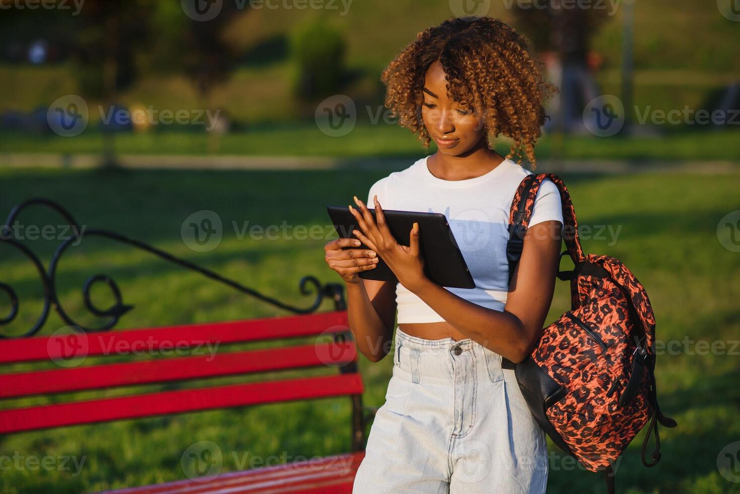 in linea comunicazione, formazione scolastica o opera concetto. bella africano americano signora con tavoletta computer a parco foto