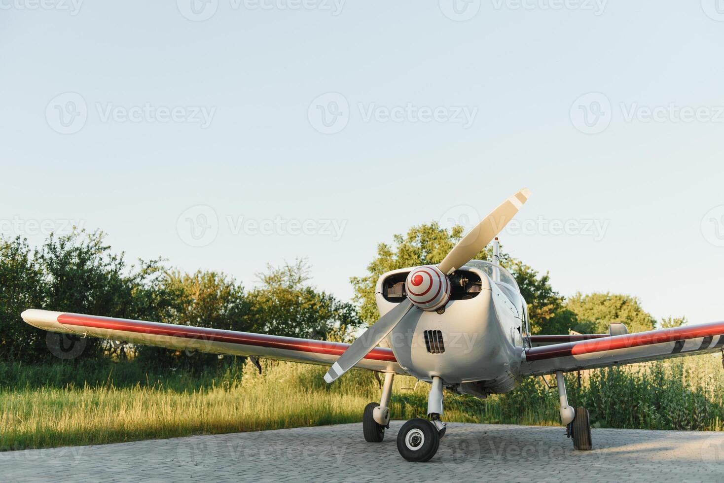 ritratto di un' aziendale Jet su il pista di decollo contro un sera cielo. foto