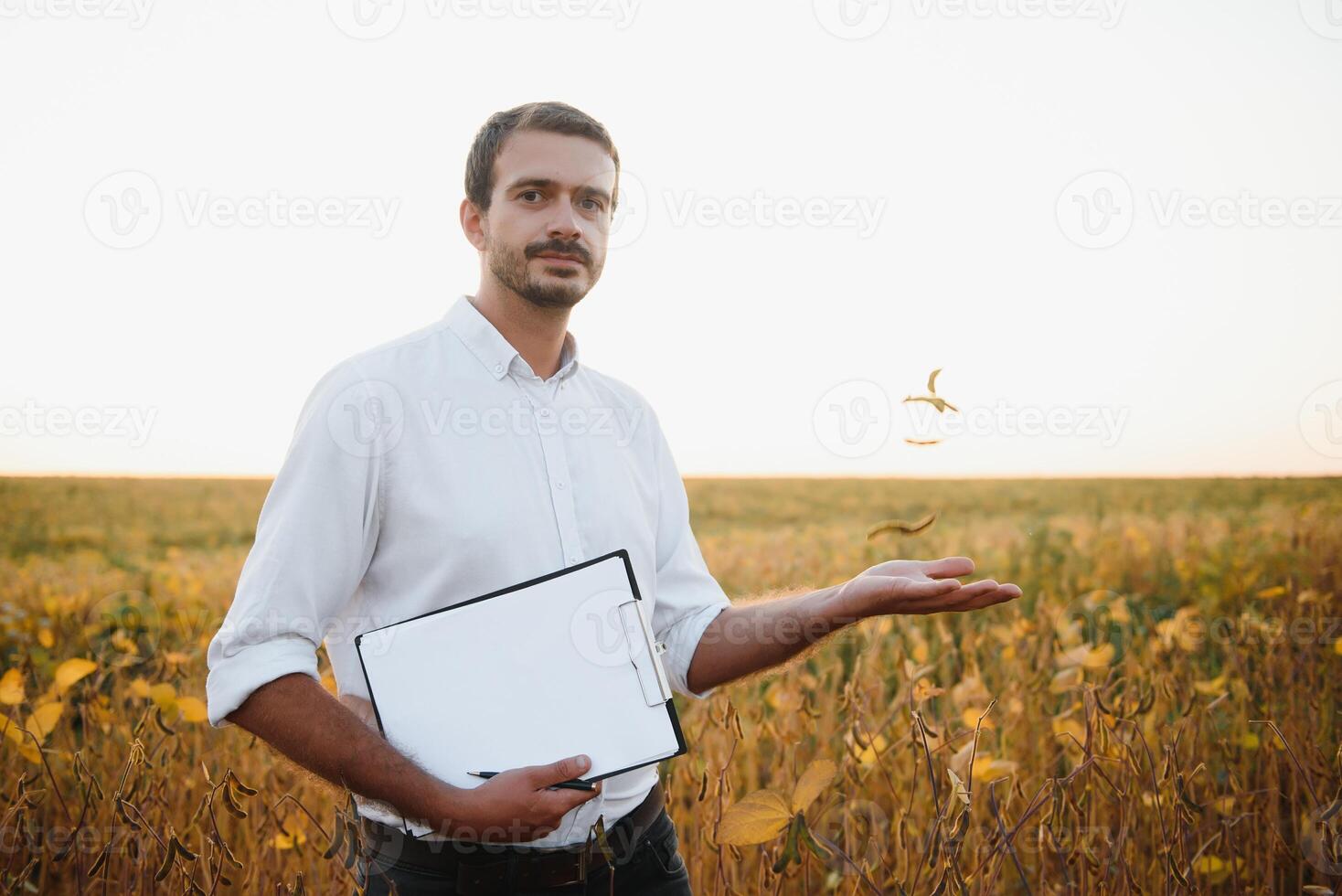 giovane agricoltore nei campi di soia foto