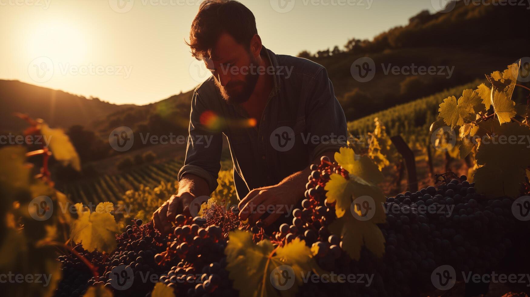 ai generato raccogliere tempo in mezzo d'oro vigneto colline foto