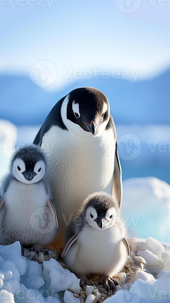 ai generato madre pinguino e pulcini su ghiacciato paesaggio nel Antartide. antartico avventura, freddo natura selvaggia. foto