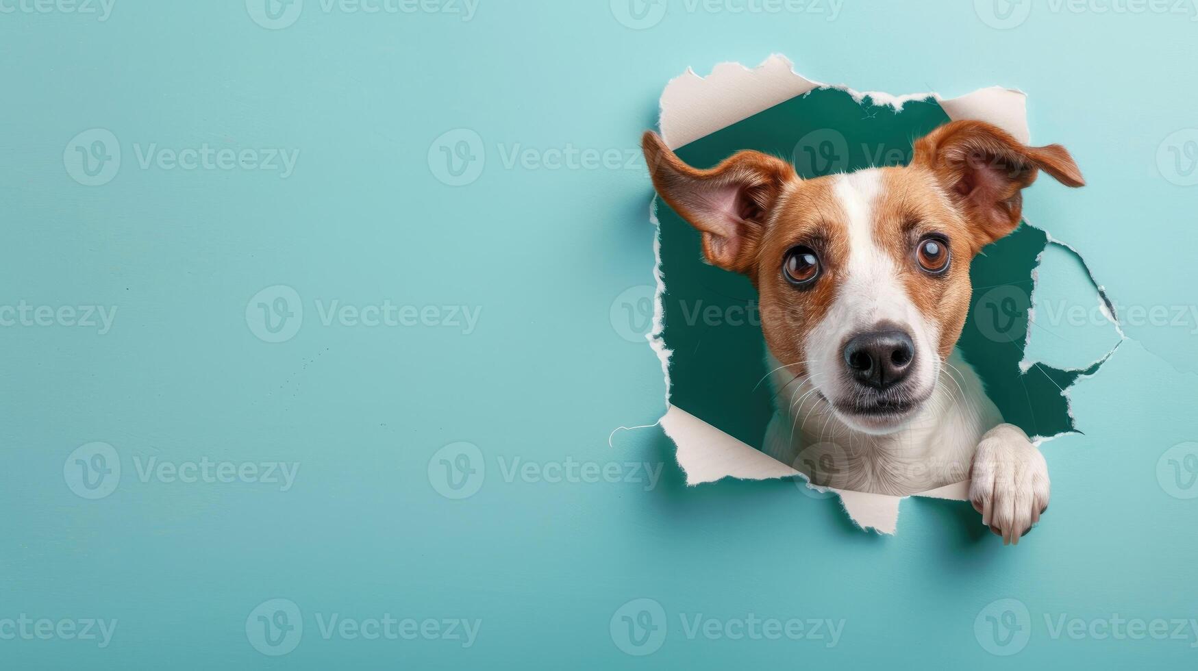 ai generato un' umoristico cane colleghi attraverso un' strappato buco nel un' contrasto pastello colore carta sfondo, ai generato foto