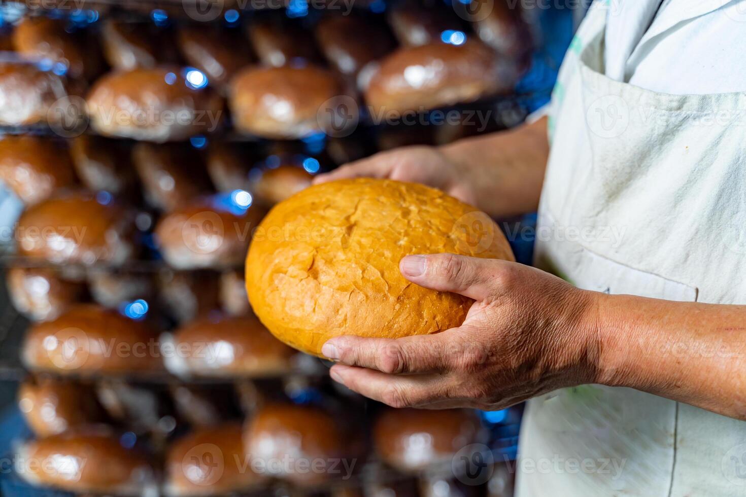 fresco pane nel il mani di un' panettiere. industriale pane produzione. avvicinamento. foto