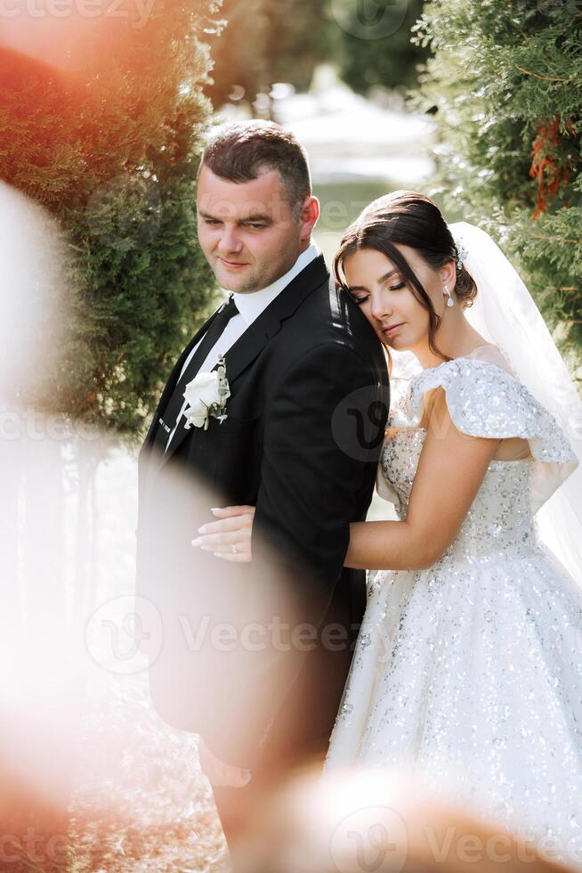 bello e elegante Novelli sposi siamo abbracciare e sorridente contro il sfondo di autunno natura nel un' bellissimo giardino. un incredibilmente bellissimo giovane sposa Appoggiato contro il spalla di sua Amati sposo foto