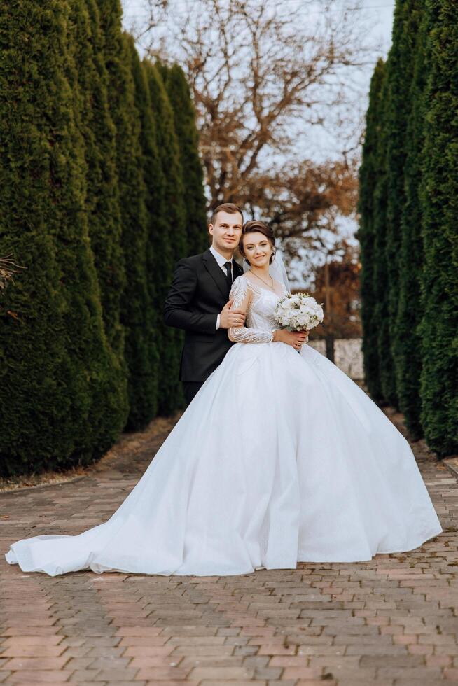 elegante, giovane sposo e bellissimo sposa nel un' lungo bianca vestito e un' lungo velo con un' mazzo nel loro mani, abbracciare nel il parco nel il autunno natura. nozze ritratto di Novelli sposi. foto