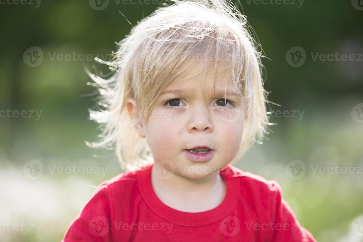 bellissimo Due anno vecchio biondo bambino. il viso di il bambino vicino su. foto