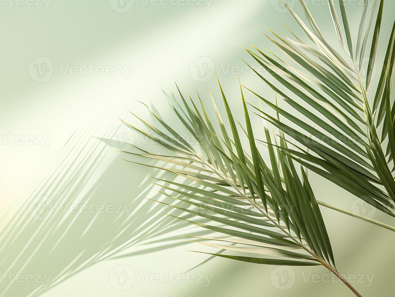 ai generato tropicale palma foglia su bianca parete sfondo. 3d rendere foto