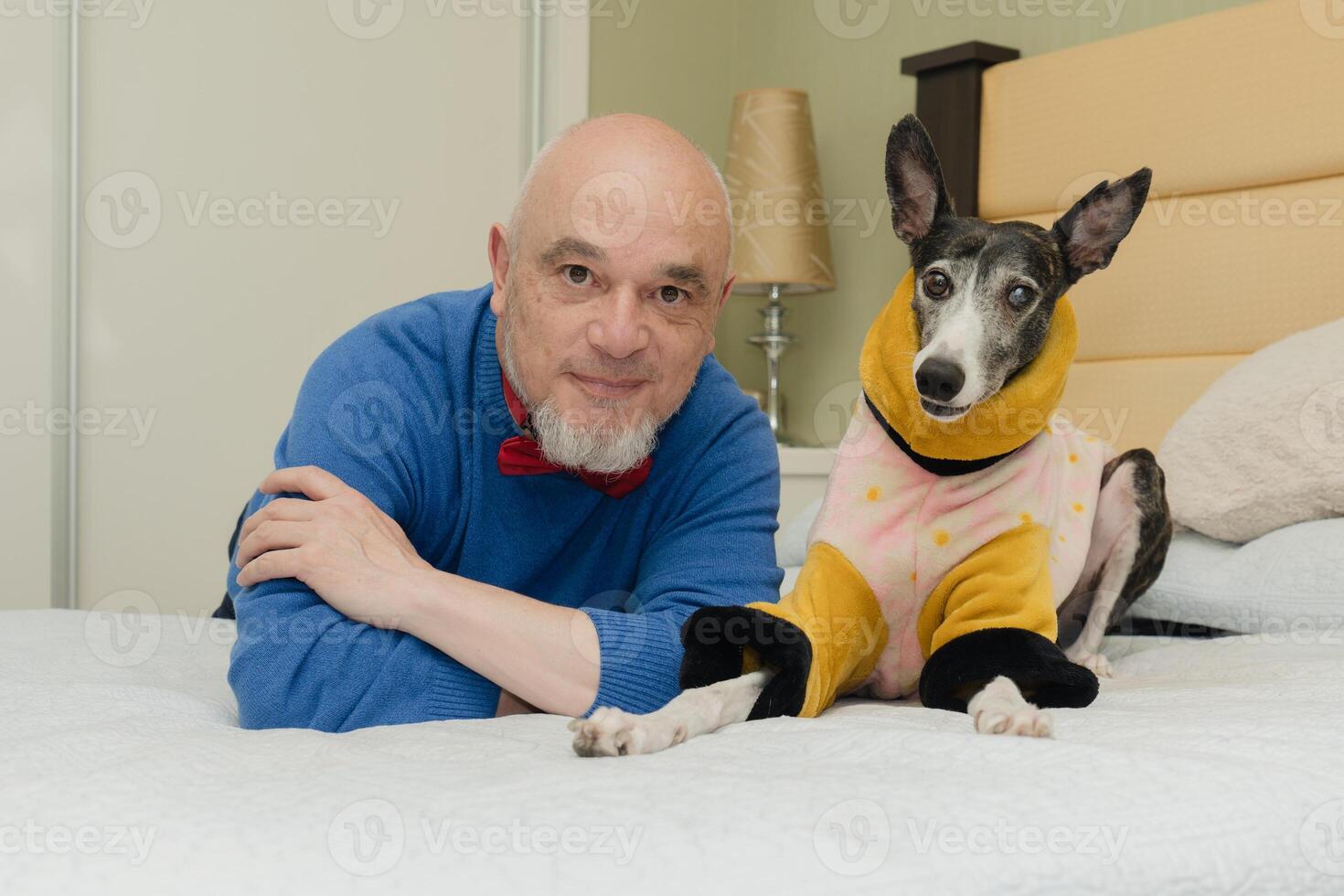 ritratto di un' contento levriero cane e suo proprietario guardare a il telecamera. foto