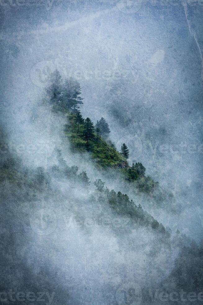 alberi nel nuvole foto