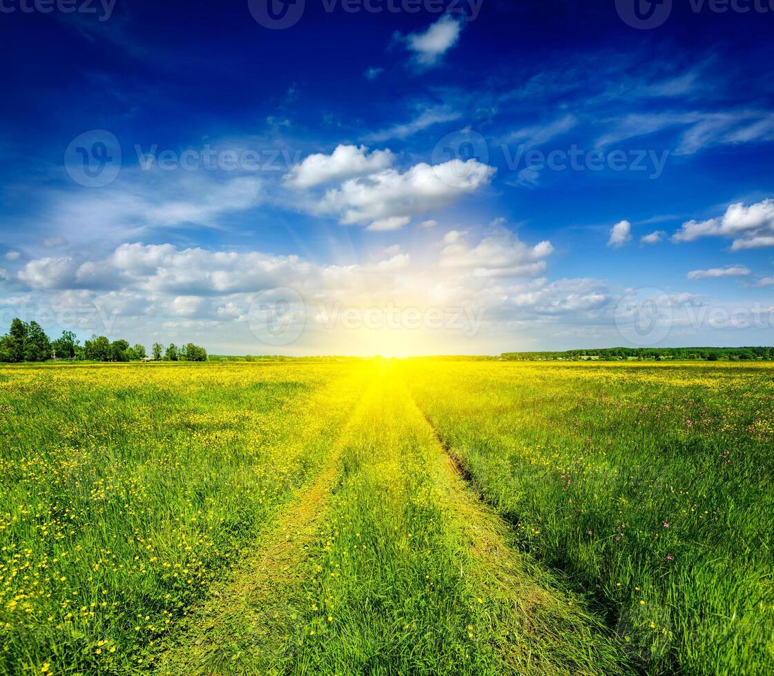 primavera estate rurale strada nel verde campo scenario foto