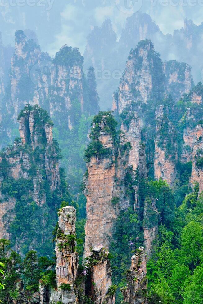 zhangjiajie montagne, Cina foto