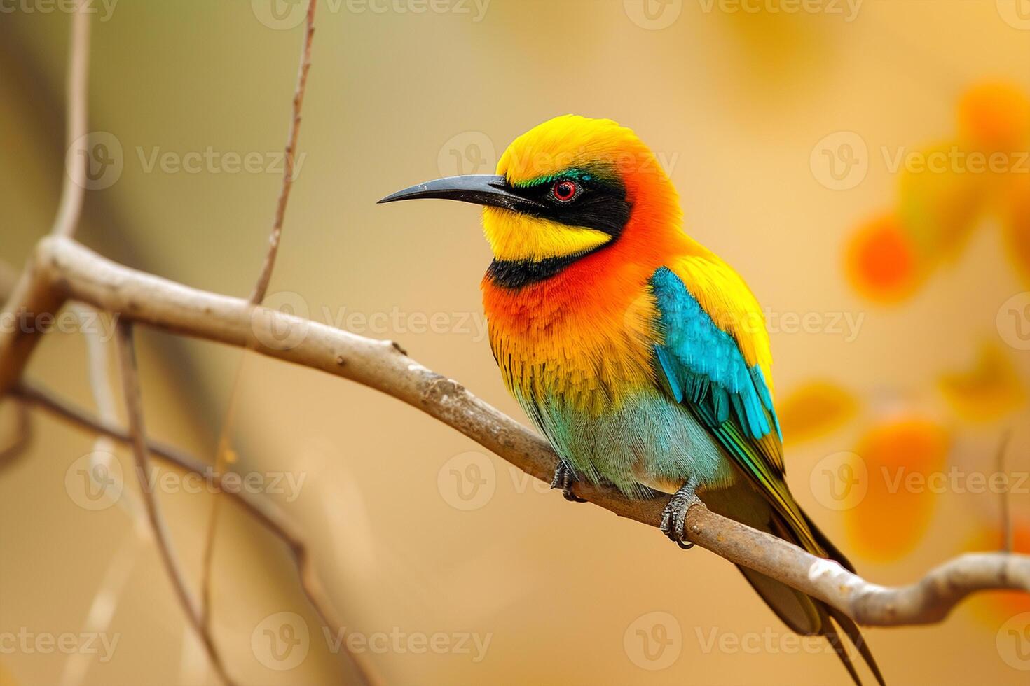 ai generato uccelli di il mondo, mondo natura giorno foto