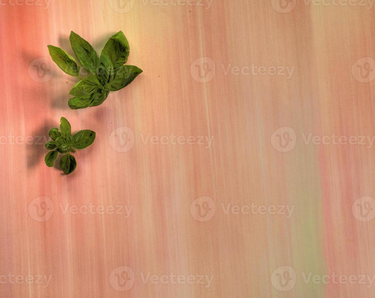 superiore Visualizza di basilico le foglie su pastello multicolore piatto superficie camera per testo foto