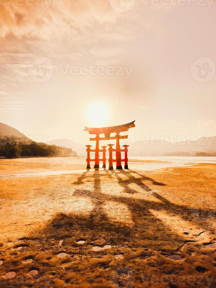 leggero e ombre al di sopra di il Giappone torii cancello foto