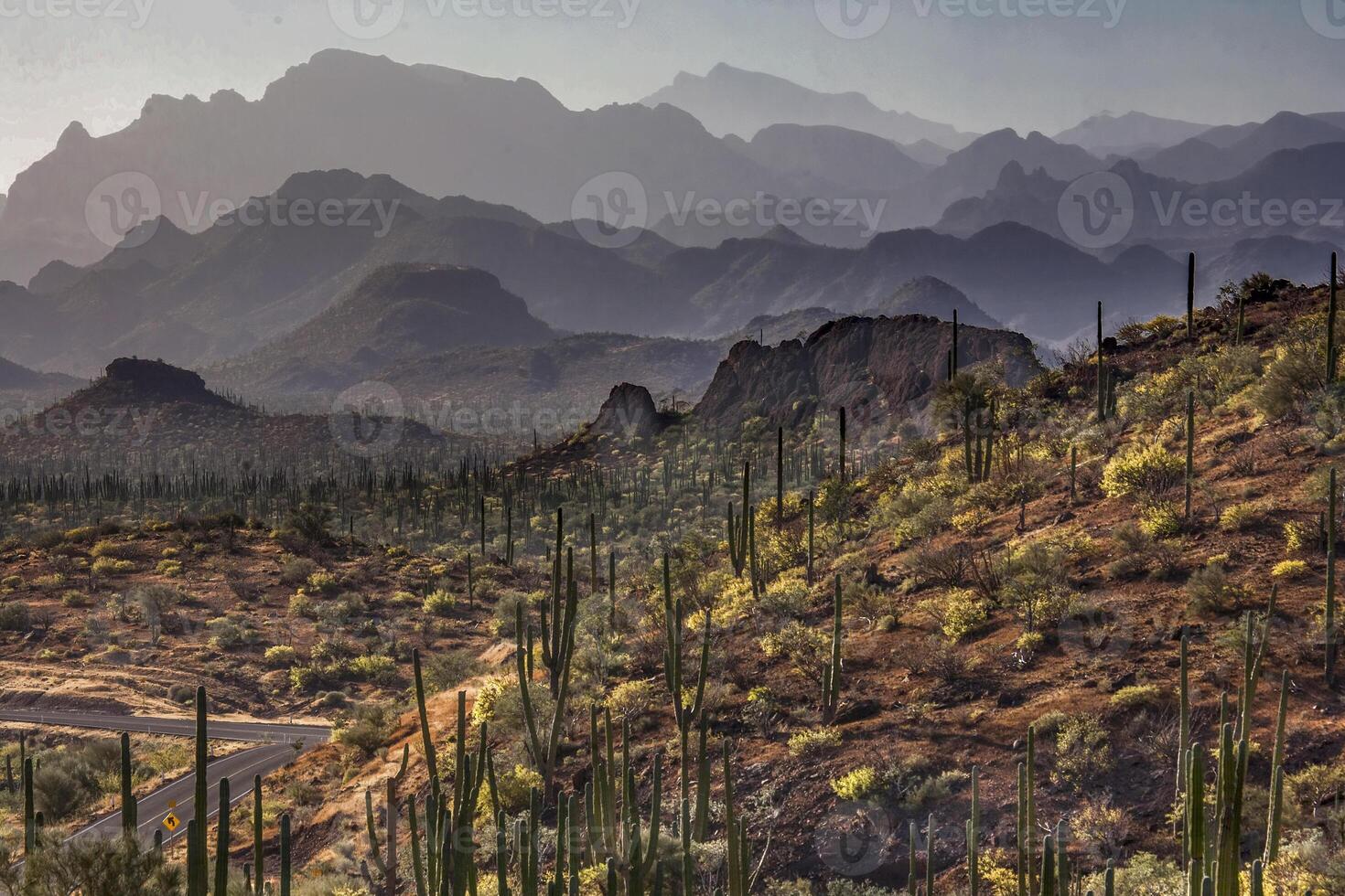 baja California montagne foto