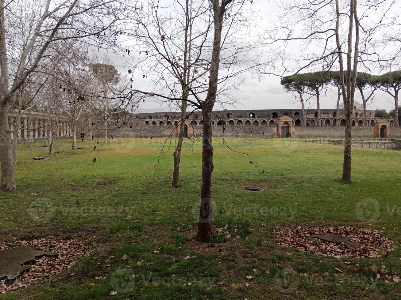 pompei, il antico romano città sepolto di il eruzione di montare vesuvio, sta come un' unesco mondo eredità luogo, offerta un' unico intravedere in quotidiano vita durante il romano impero. foto