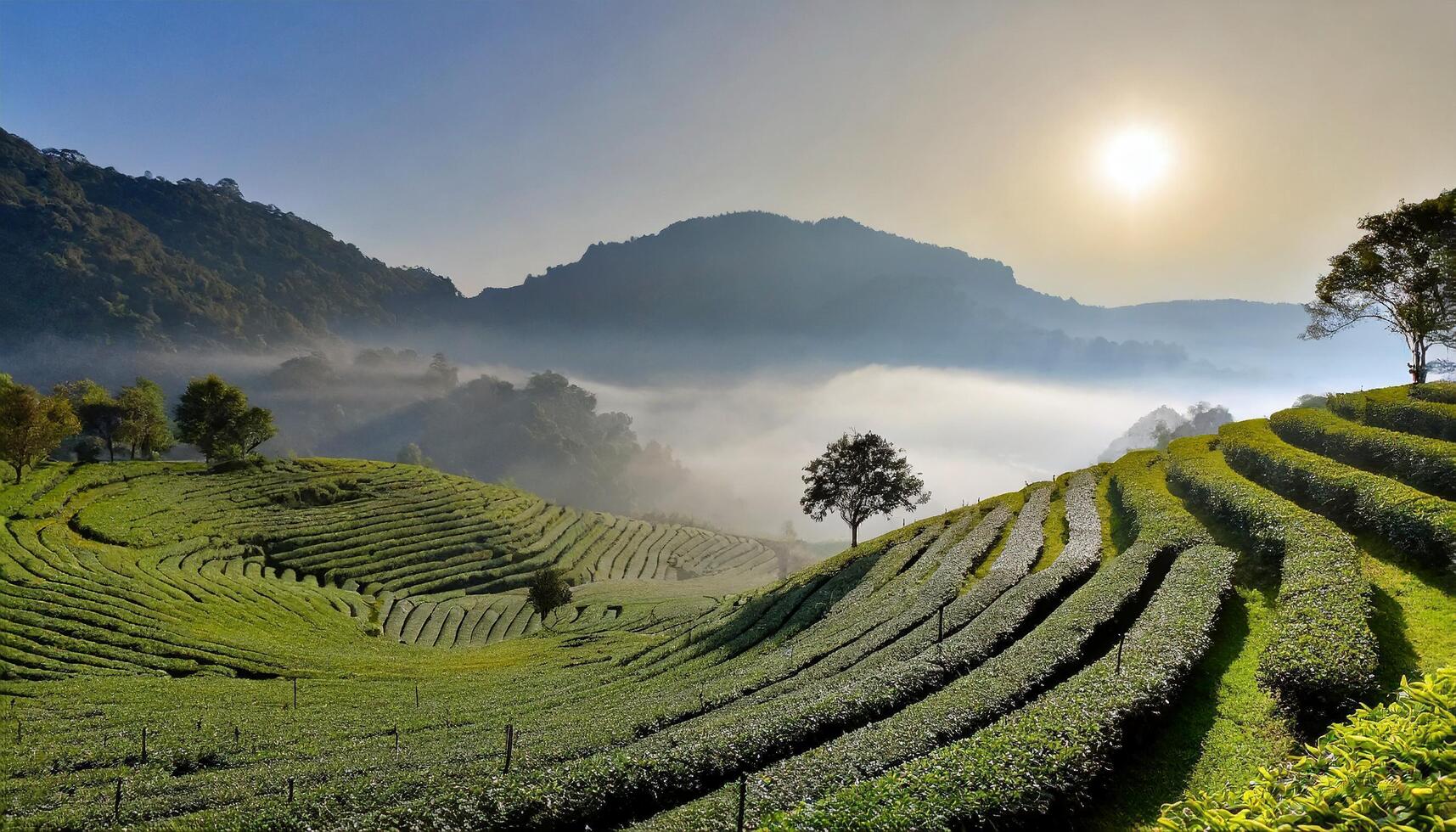 ai generato Visualizza di il tè giardino nel il mattina con caldo luce del sole foto