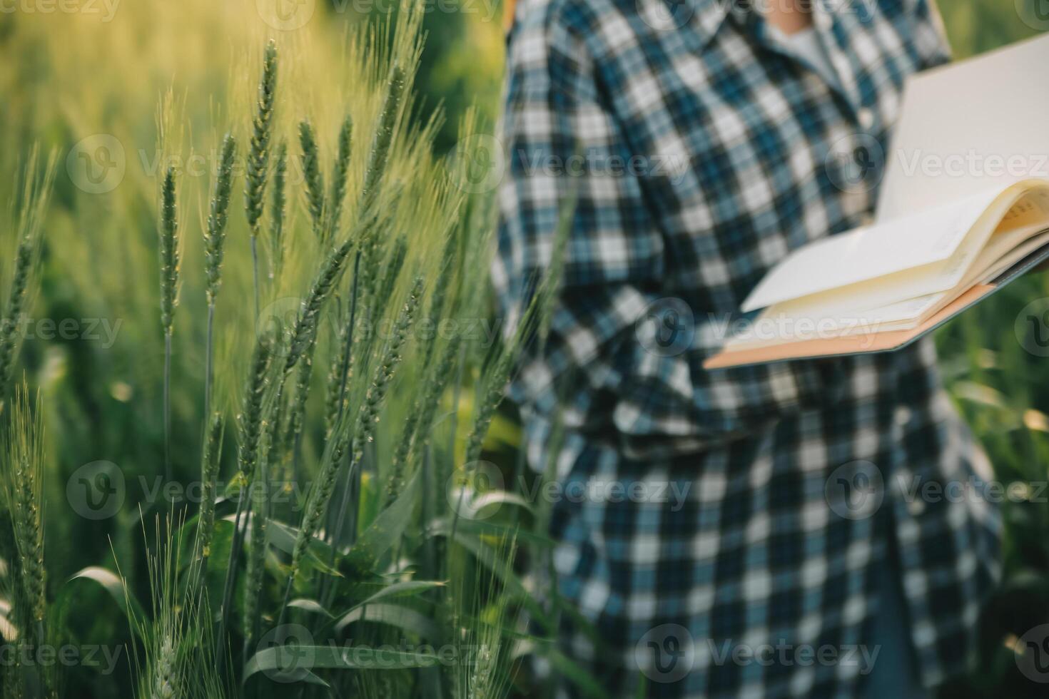 inteligente azienda agricola. contadino con tavoletta nel il campo. agricoltura, giardinaggio o ecologia concetto. raccolta. agro attività commerciale. foto