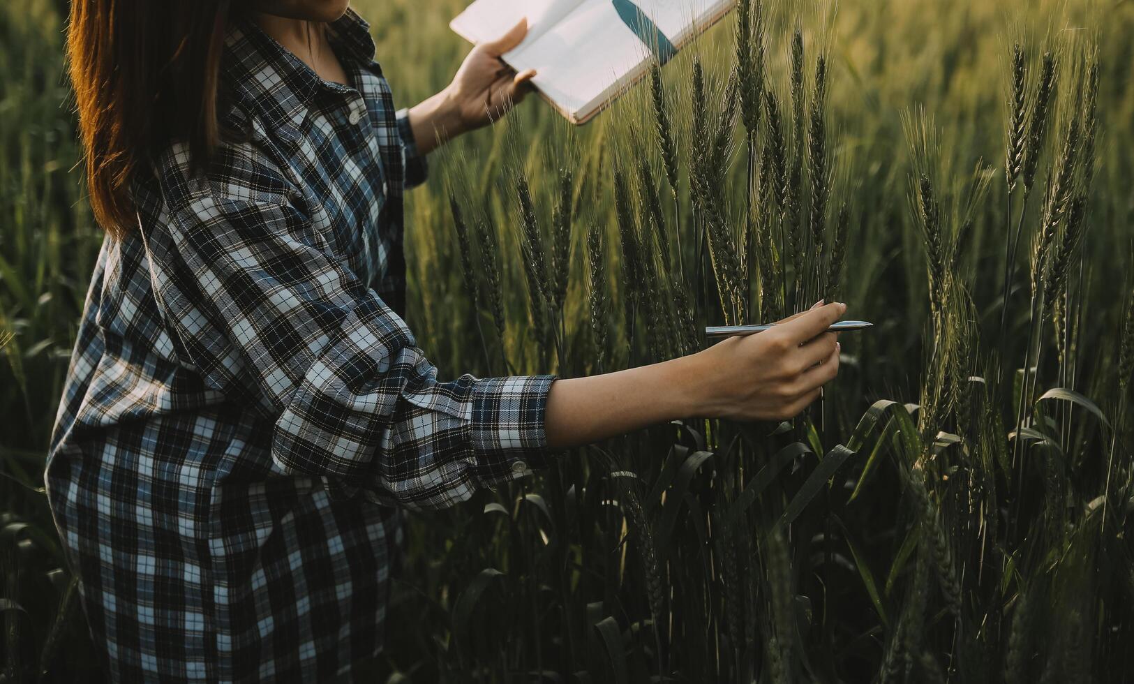 inteligente azienda agricola. contadino con tavoletta nel il campo. agricoltura, giardinaggio o ecologia concetto. raccolta. agro attività commerciale. foto