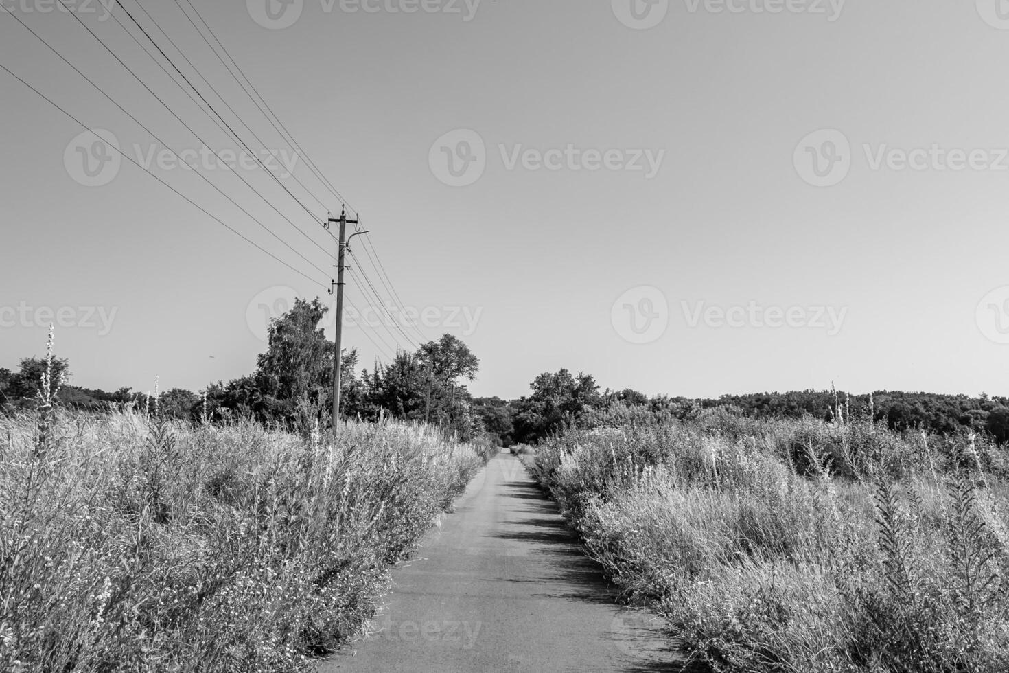 bellissimo vuoto asfalto strada nel campagna su leggero sfondo foto