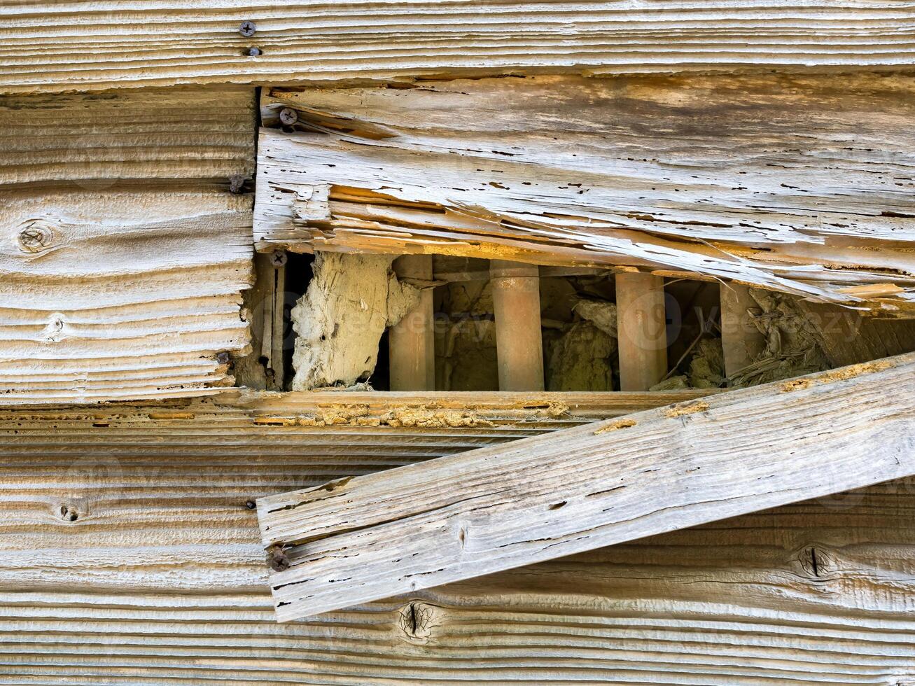 arrugginito chiodo, Esposto alle intemperie tavole di un abbandonato fienile con Cracked di legno tavole foto