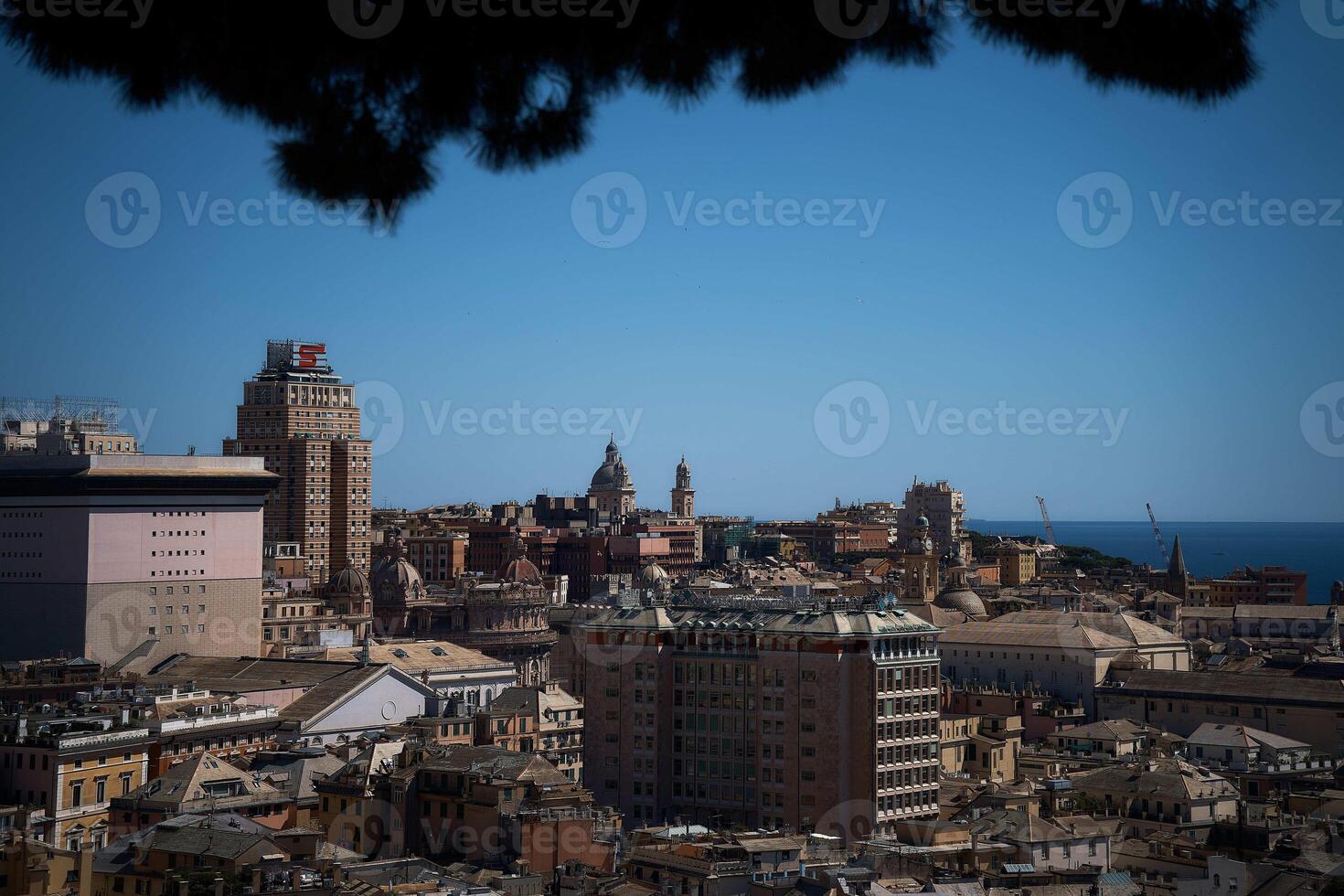 tetti di case nel Genova con un' Visualizza di il mare su un' soleggiato giorno foto