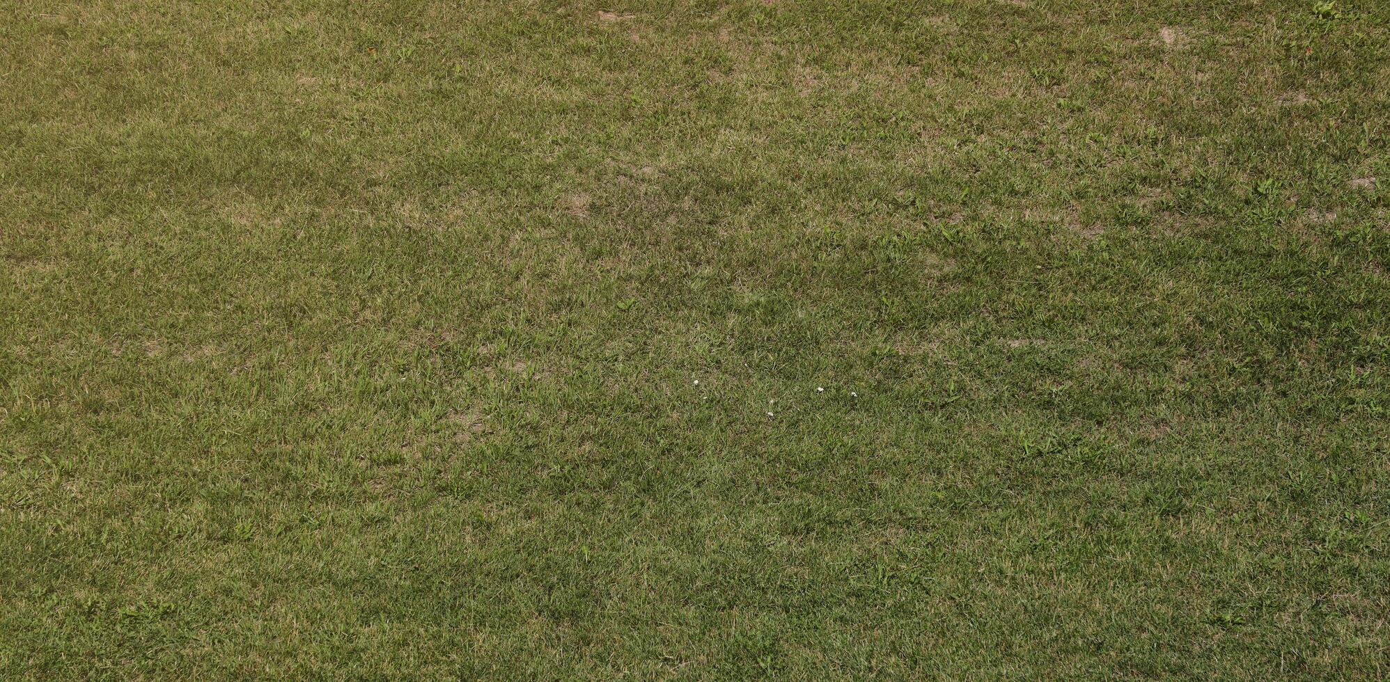 Visualizza a partire dal sopra di un' verde erboso la zona Usato come un' gli sport campo per attività piace golf baseball calcio o calcio. sfondo di un' prato tappeto e un' naturale struttura foto