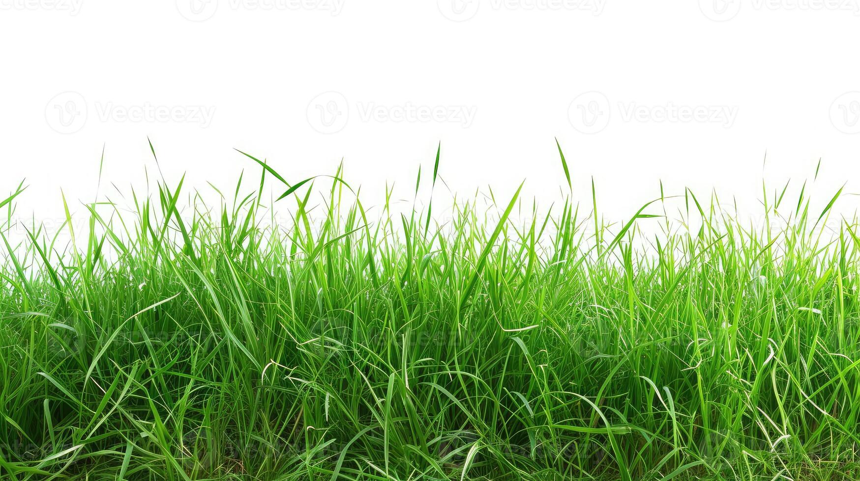 ai generato isolato verde erba su un' bianca sfondo foto