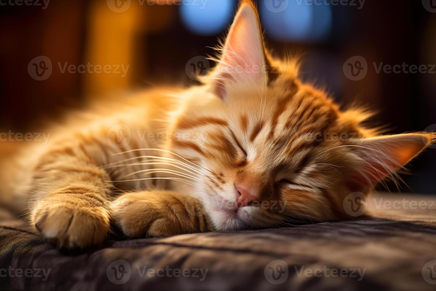 ai generato avvicinamento Zenzero gattino addormentato su il divano, carino animale domestico riposo in casa foto